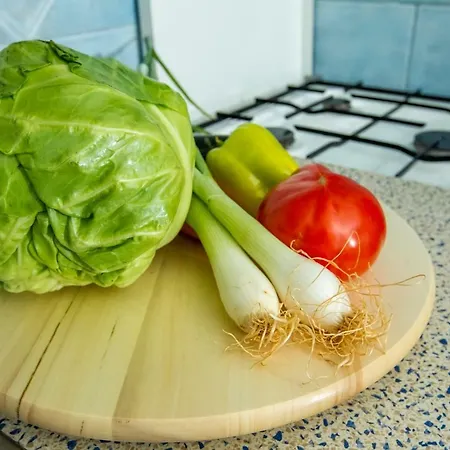 Appartamento Vesela Seline